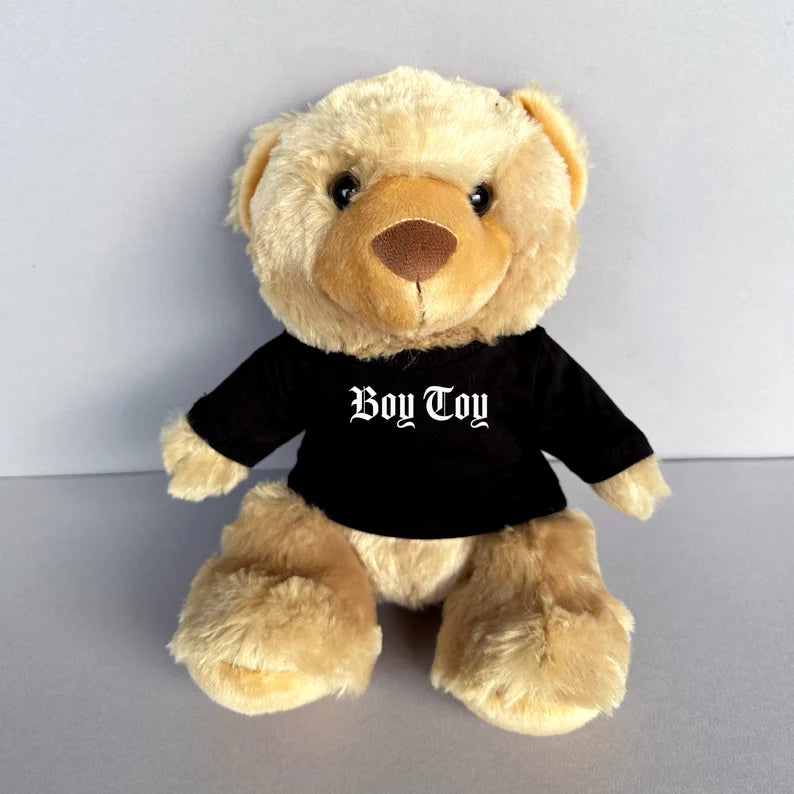 Boy Toy Teddy bear for a perfect gay valentines gift