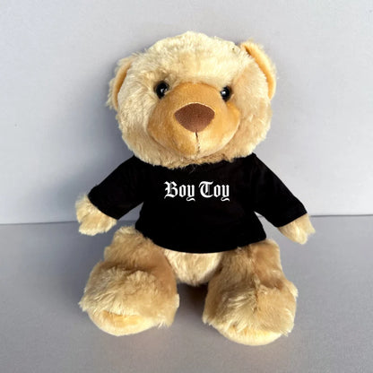 Boy Toy Teddy bear for a perfect gay valentines gift