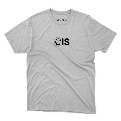 Cis Sis Non Binary T-shirt